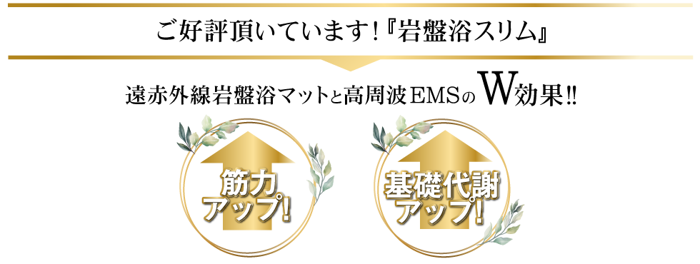 複合高周波EMS8Ｄｅ