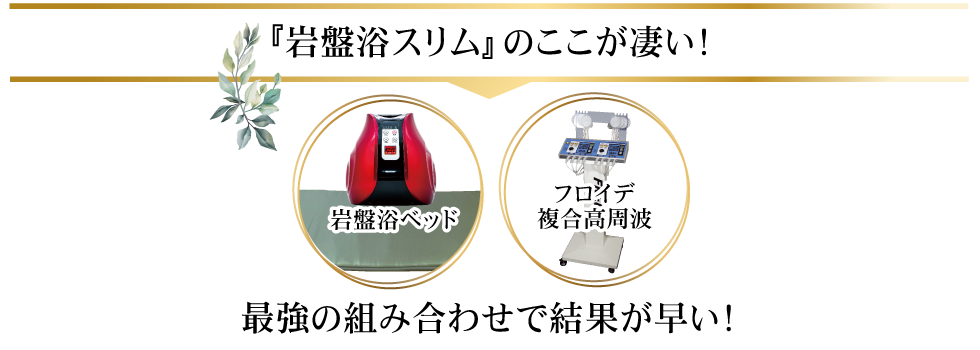 複合高周波EMS8Ｄｅ