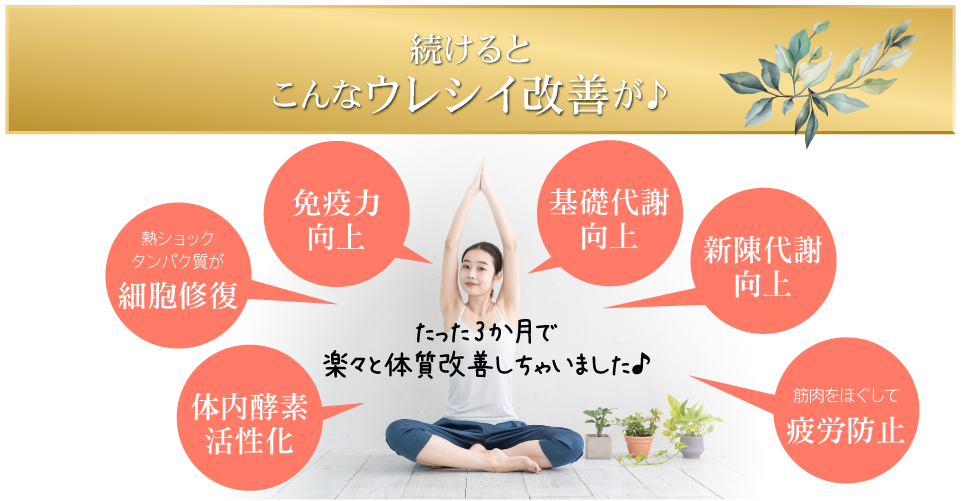 複合高周波EMS8Ｄｅ