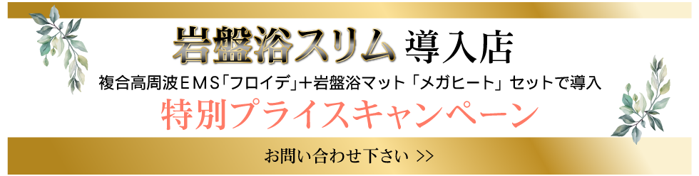 複合高周波EMS8Ｄｅ