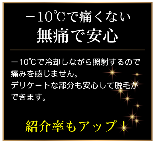 マイナス10℃で無痛連射式ハイスピード脱毛機LEONレオン