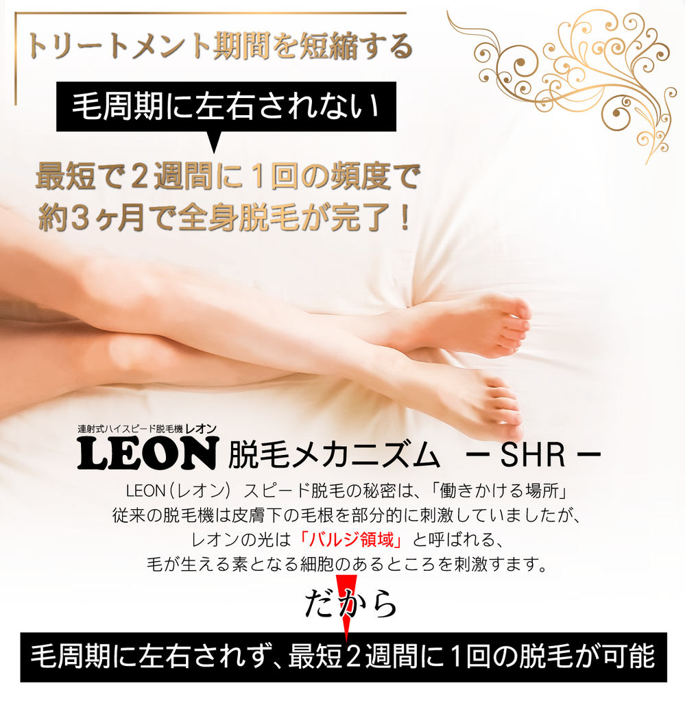 LEON業務用脱毛機 LEON業務用脱毛機