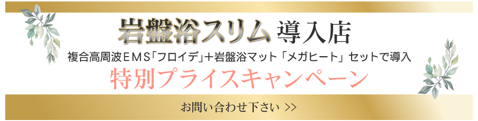 複合高周波EMS8Ｄｅ